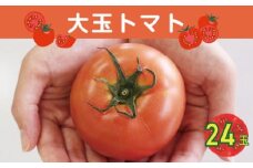 大玉トマト24玉