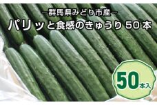 パリッと食感のきゅうり50本