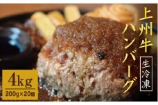  生冷凍 上州牛ハンバーグ4kg（200g×20個）