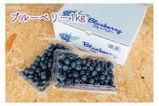 ブルーベリー1Kg