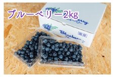 ブルーベリー2Kg