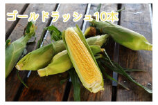 とうもろこし10本