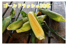 とうもろこし30本