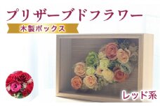 プリザーブドフラワーアレンジ(額装）中　(赤系)　