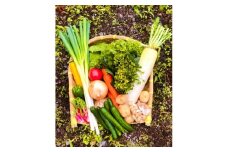 八州高原マルシェ自慢の旬な野菜たち【1039760】