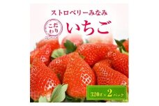 ストロベリーみなみ こだわり　『いちご』　320g×2パック【1052500】