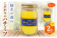 榛名の森のハチミツ!＜アカシア＞600g×2本セット!!【1294021】
