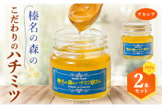 榛名の森の こだわりのハチミツ!＜アカシア＞1本300g×2本セット!!【1294020】