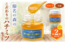 榛名の森のハチミツ2種セット!＜アカシア・百花＞300g×2本(各1本)【1294022】