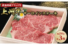 上州牛サーロインステーキ　約250g×3枚【1455222】