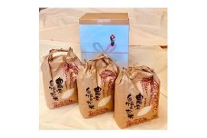 ＜無地熨斗＞榛東村　農家自慢のお米(コシヒカリ)＜令和6年産米9kg( 3kg×3袋)＞【1091772】