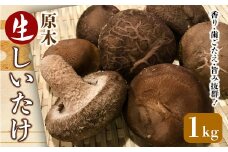 昔なつかしい 原木生しいたけ 椎茸 シイタケ 濃厚 香り 旨みたっぷり だし うまみ ワンランク上 F21K-012