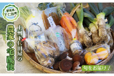 旬をお届け！上州下仁田屋の「農家の宅配便」 F21K-080
