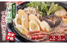 「葱が主役」下仁田葱すき焼き とろける 甘い ねぎ ネギ 王様ねぎ 殿様ねぎ 特産 栄養たっぷり ブランド 上州ねぎ すきやき F21K-077