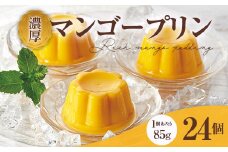 濃厚マンゴープリン 85g×24個 手土産 おやつ デザート スイーツ こだわり 南国 トロピカル フルーツ 果物 F21K-064