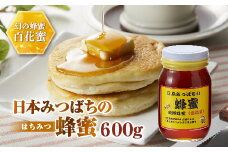 日本みつばちの蜂蜜600g ミツバチ 蜜蜂 希少 幻 パンケーキ 紅茶 スイーツ 花 まろやか 純国産 F21K-043