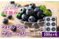 ≪数量・期間限定≫【下仁田町産】こだわりの手摘み 新鮮 生ブルーベリー 600g フレッシュ フルーツ 果物 アントシアニン F21K-195