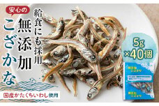 給食使用で安心の無添加こざかな F21K-218