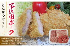 ブランド豚「下仁田ポーク」とんかつセット F21K-226