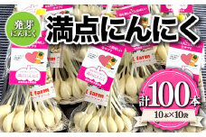 満点にんにく (発芽にんにく) 60～70g(10本)×10袋 栄養 スタミナ 免疫力 風邪予防 F21K-251