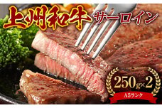 【A5ランク】上州和牛サーロイン500g ブランド和牛 高級 記念日 サシ F21K-285