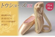 トウシューズEX バレエ ダンス ダンサー 手仕事 伝統 上質 F21K-252