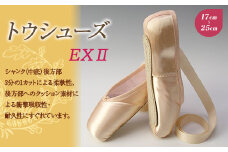 トウシューズEX II バレエ ダンス ダンサー 手仕事 伝統 上質 F21K-254