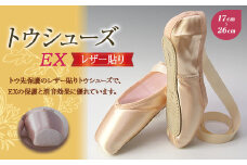 トウシューズEXレザー貼り バレエ ダンス ダンサー 手仕事 伝統 上質 F21K-256