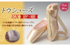 トウシューズEXレザー貼り バレエ ダンス ダンサー 手仕事 伝統 上質 F21K-256