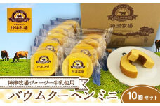 【神津牧場】ミニバームクーヘン10個セット こだわり ジャージー牛乳 手土産 おやつ デザート スイーツ F21K-306