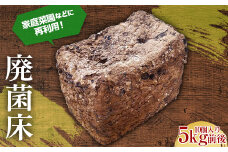家庭菜園などに再利用！廃菌床 約5kg 茸 野菜 きのこ キノコ 椎茸 しいたけ シイタケ F21K-322