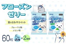 60粒入り！下仁田のフローズンゼリー2種 夏のさわやかセット（2種×5袋6粒入り） F21K-383