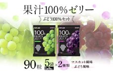 90粒入り！下仁田の果汁100％ゼリー2種 ぶどう100％セット（2種×5袋9粒入り） F21K-389