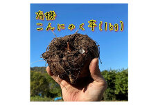 有機こんにゃく芋(約1kg)(レシピ・凝固剤付き) F21K-398