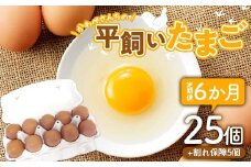 【定期便6か月】かわべさんちの平飼いたまご 25個（プラス割れ保障 5個） 計30個×６か月 計180個 卵 玉子 たまご 生卵 F21K-462