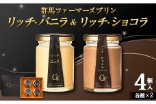 贅沢リッチ・バニラ＆ショコラの詰め合わせ 4個入り（バニラ 2個・ショコラ 2個） 手土産 おやつ デザート スイーツ こだわり 話題 リッチ バニラ ショコラ F21K-500