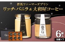 リッチ・バニラ＆大和屋コーヒー 6個入（リッチ・バニラ 3個、大和屋コーヒー 3個） 手土産 おやつ デザート スイーツ こだわり 話題 リッチ バニラ コーヒー F21K-503