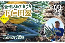 愛情込めて育てた下仁田葱（L 15本） とろける 甘い ねぎ ネギ 王様ねぎ 殿様ねぎ 特産 栄養たっぷり ブランド 上州ねぎ すきやき F21K-566