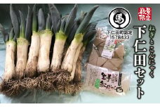 ねぎとこんにゃく下仁田セット とろける 甘い ねぎ ネギ 王様ねぎ 特産 栄養たっぷり ブランド 上州ねぎ すきやき F21K-032