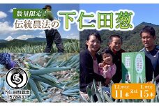 伝統農法の下仁田葱（LL11本またはL15本） とろける 甘い ねぎ ネギ 王様ねぎ 特産 栄養たっぷり ブランド 上州ねぎ すきやき F21K-572