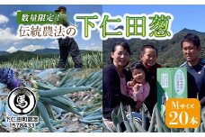 伝統農法の下仁田葱（M 20本） とろける 甘い ねぎ ネギ 王様ねぎ 特産 栄養たっぷり ブランド 上州ねぎ すきやき F21K-573