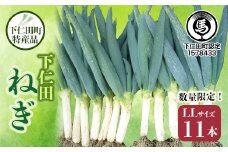 下仁田町特産「下仁田ねぎ」LLサイズ 11本 小箱 とろける 甘い ねぎ ネギ 王様ねぎ 特産 栄養たっぷり ブランド 上州ねぎ すきやき F21K-577