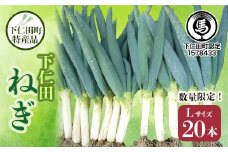 下仁田町特産「下仁田ねぎ」Lサイズ 20本 大箱 とろける 甘い ねぎ ネギ 王様ねぎ 特産 栄養たっぷり ブランド 上州ねぎ すきやき F21K-581