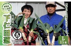 丹精込めた下仁田葱（Lサイズ 15本） とろける 甘い ねぎ ネギ 王様ねぎ 殿様ねぎ 特産 栄養たっぷり ブランド 上州ねぎ すきやき F21K-584