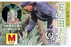 下仁田葱の会の下仁田葱（Mサイズ） とろける 甘い ねぎ ネギ 王様ねぎ 殿様ねぎ 特産 栄養たっぷり ブランド 上州ねぎ すきやき F21K-587