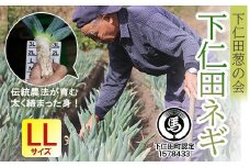 下仁田葱の会の下仁田葱（LLサイズ） とろける 甘い ねぎ ネギ 王様ねぎ 殿様ねぎ 特産 栄養たっぷり ブランド 上州ねぎ すきやき F21K-589