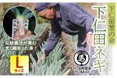 下仁田葱の会の下仁田葱（Lサイズ）とろける 甘い ネギ 王様 ねぎ 殿様ねぎ 特産 栄養たっぷり ブランド 上州ねぎ すきやき F21K-588