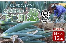 別名“殿様ねぎ” 大澤農園の下仁田葱（M 15本） とろける 甘い ねぎ ネギ 王様ねぎ 殿様ねぎ 特産 栄養たっぷり ブランド 上州ねぎ すきやき F21K-595