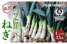 厳選！下仁田葱（Lサイズ 15本） とろける 甘い ねぎ ネギ 王様ねぎ 特産 栄養たっぷり ブランド 上州ねぎ すきやき F21K-593