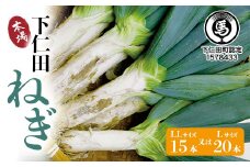 下仁田の広大な畑が生む逸品 下仁田ねぎ（LL15本またはL20本） とろける 甘い ねぎ ネギ 王様ねぎ 殿様ねぎ 特産 栄養たっぷり ブランド 上州ねぎ すきやき F21K-602